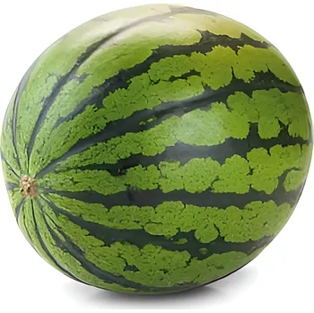 Ovoce Meloun vodní červený drobnosemenný cca 2.51kg