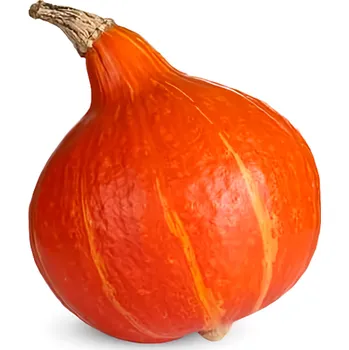 Dýně Hokkaido, cca 1.52kg