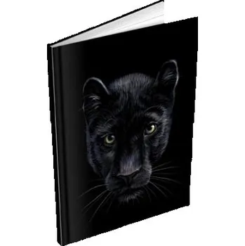 Záznamová kniha A5 MFP 100l/čistá ZL5100 [O]