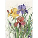 PŘÁNÍ B060 MIXED IRISES