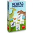 Pexeso Dino Pexeso Dinosauři