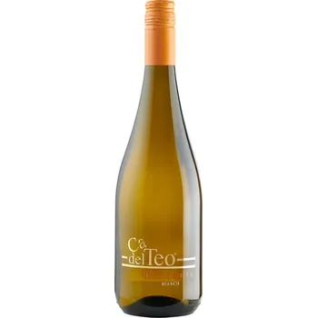 Víno Cá del Teo Frizzante Bianco Secco 750ml