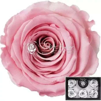 Mýdlo Stabilizované světle růžové růže L v krabičce 6ks