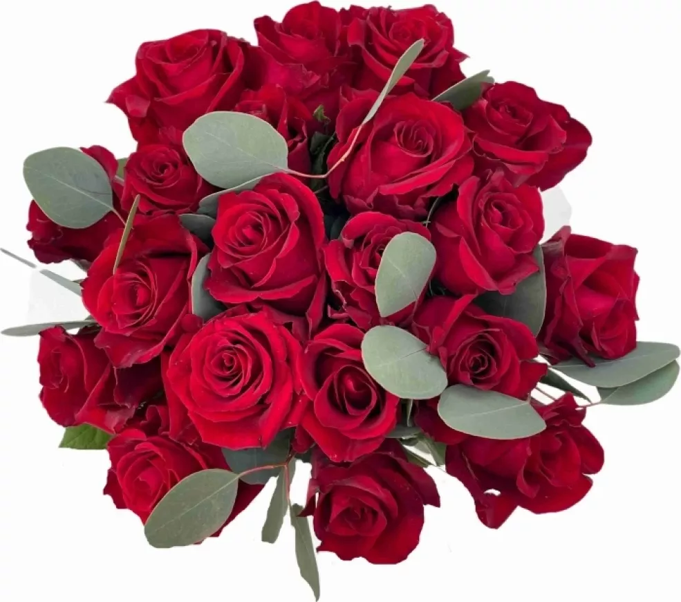 Kytice 21 červených růží EVER RED 50 cm