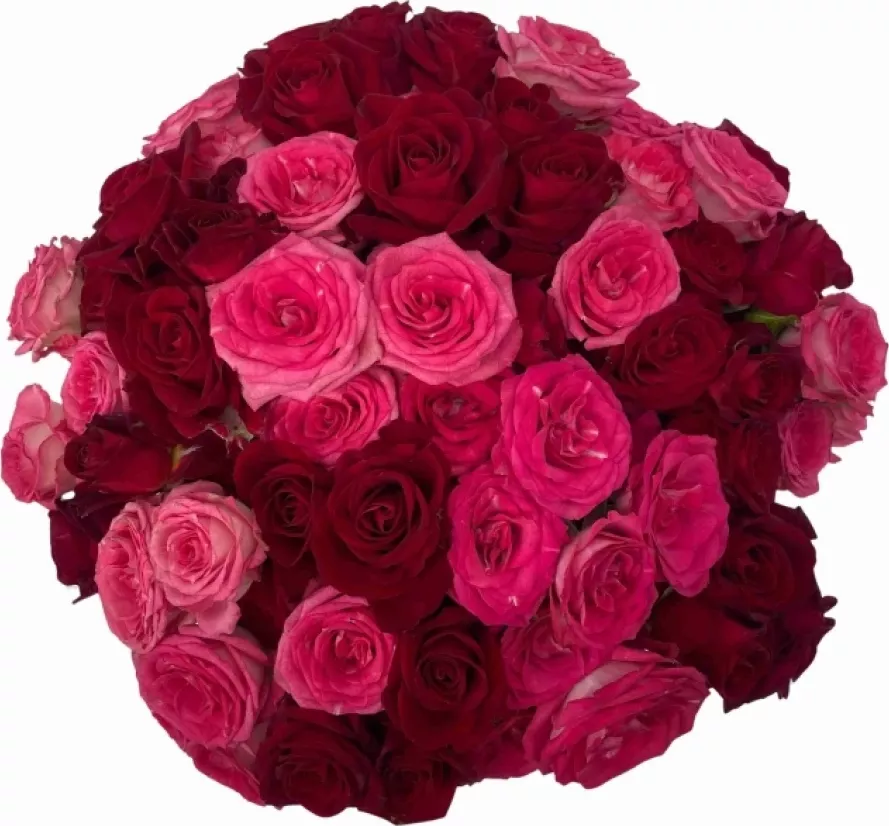 Kytice míchaná 100+ květů růží KATRIN 40 cm