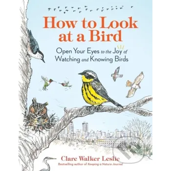 How to Look at a Bird - Clare Walker Leslie Storey Publishing