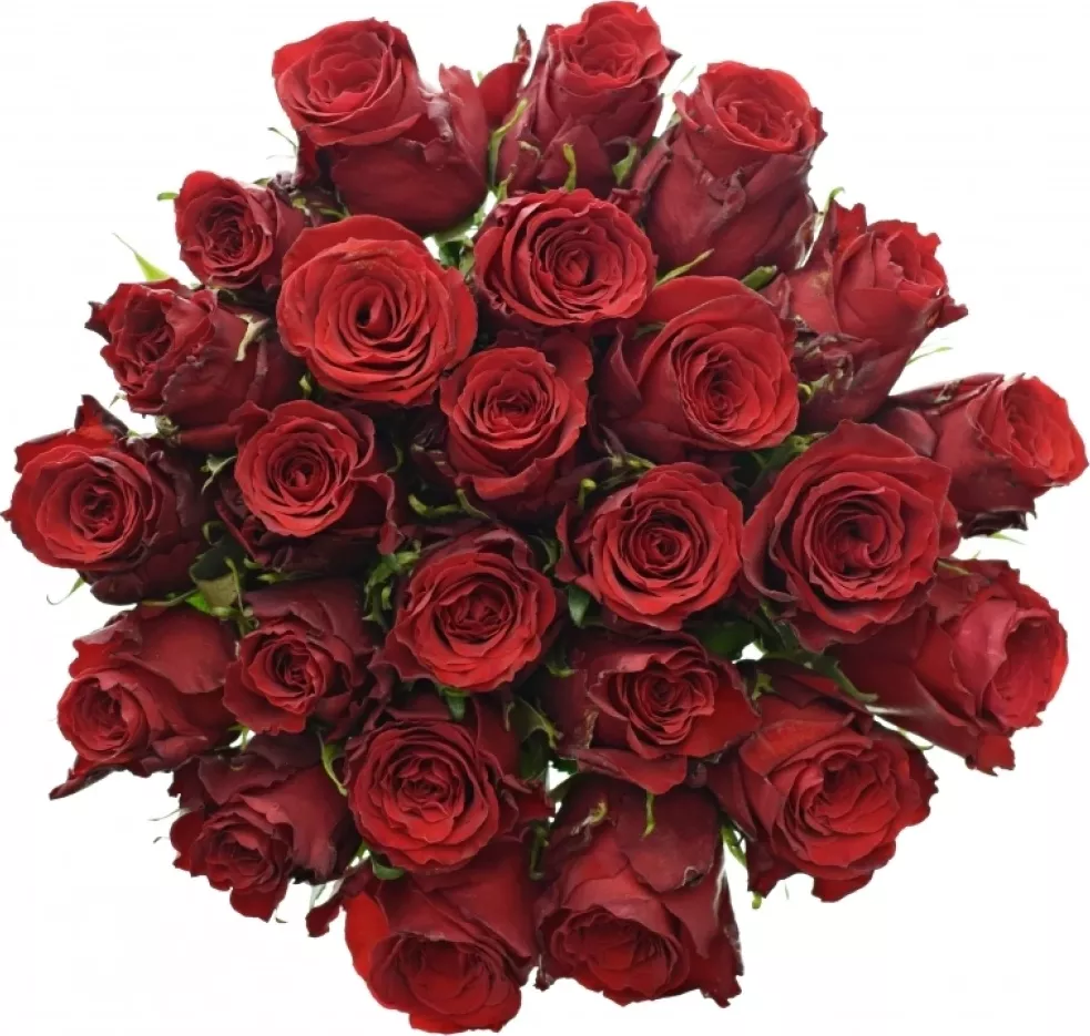 Kytice 25 rudých růží RED TORCH 70 cm