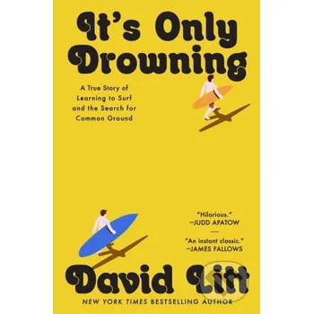 It's Only Drowning - David Litt Gallery