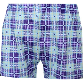 Chlapecké spodní prádlo Dětské Trenýrky FOLTÝN DT139 Velikost: 128