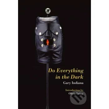Do Everything in the Dark - Gary Indiana