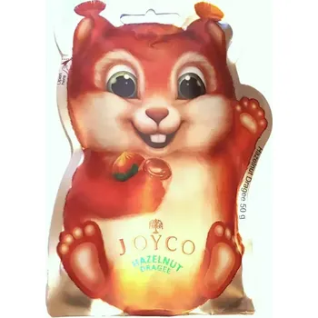JOYCO kakaové dražé s lískovými oříšky (10 ks) 50g (Malé kakaové bonbónky s lískovými oříšky (10ks jednotlivě balených) 50g)