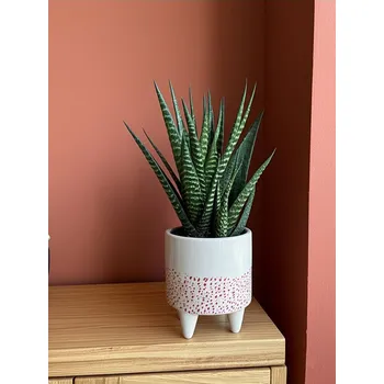 Květináč Sinsay - Květináč na nožičkách s tečkovaným vzorem - růžová - 853GJ-30X - 853GJ-30X-ONE