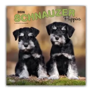 Diář Schnauzer Puppies - Schnauzer Welpen 2026 - 16-Monatskalender (EN)