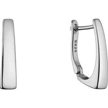 Náušnice Stříbrné náušnice 61106