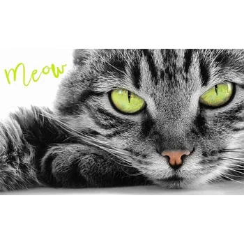 Carbotex Dětský ručník Kocourek Oskar 30x50 cm