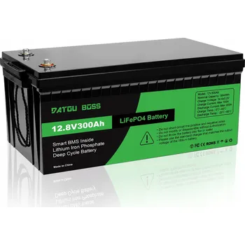 Trakční baterie Akumulátor LiFePO4 12 V 300 Ah