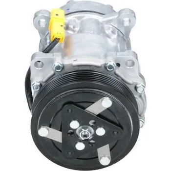 Kompresor klimatizace Kompresor, klimatizace BV PSH 090.225.012.876