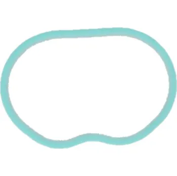 Těsnění motoru Těsnění, koleno sacího potrubí KAMOKA 8704051