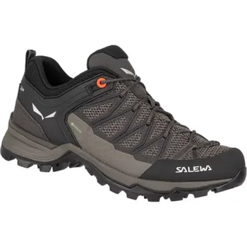 Dámská treková obuv Salewa Mtn Trainer Lite GTX W dámské trekové boty 61362-7517 EU 41