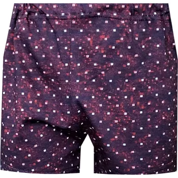 Chlapecké spodní prádlo Dětské Trenýrky FOLTÝN DT144 Velikost: 122