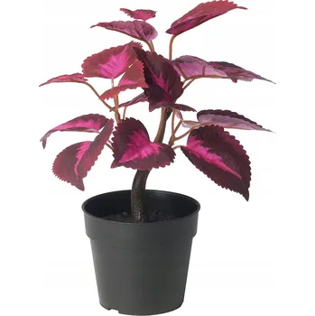 umělá květina IKEA FEJKA Umělá rostlina v květináči Solenostemon červený 23 cm