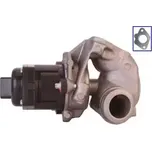 QWP AGR ventil QWP WEG109