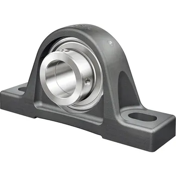 Ložisková jednotka - RASEY 30 N INA