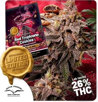 Dutch Passion Red Tropicana Cookies Počet ks Feminizované: 5