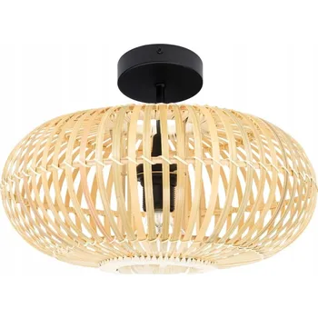 Stropní LED svítidlo Ledigo černé