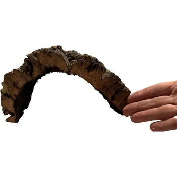 Dekorace do terária REPTER Korková kůra 12 - 28cm/20cm