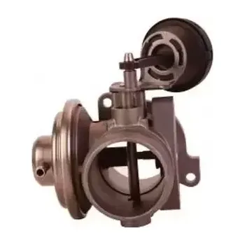 Ventil palivového systému QWP AGR ventil QWP WEG102