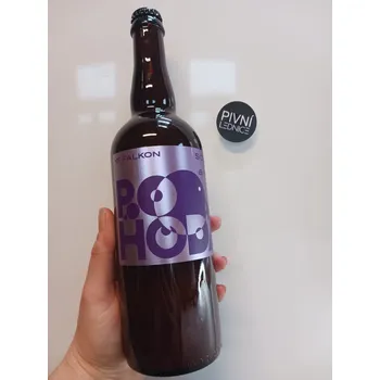Pivo Falkon Pohoda 14°/5,9% 0,7l
