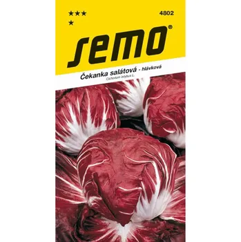 Semeno Čekanka sal. PALLA ROSSA 3 50 semen