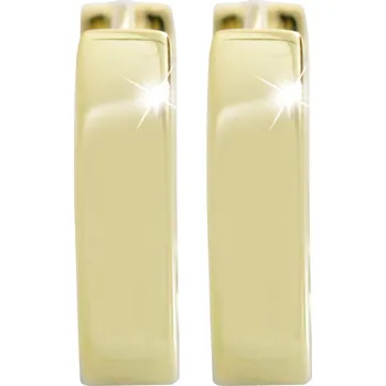 Módní doplněk JSB bijoux s.r.o. Pozlacené stříbrné náušnice kroužky čistě kovové bez krystalů (Stříbro 925/1000)