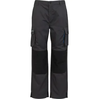 Pánské kalhoty Regatta Iron 1128497 34W S