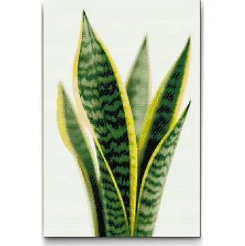 Diamantové malování Diamantové malování - Sansevieria (Tchýnin jazyk) Velikost: 40x60cm, Rámování: Pouze srolované plátno, Diamanty: Čtvercové