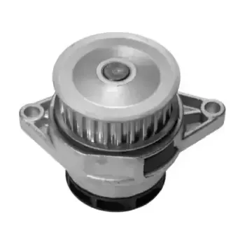 Chladič motoru QWP Vodní čerpadlo, chlazení motoru QWP WWP039