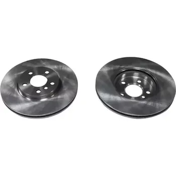 Brzdový kotouč QWP Brzdový kotouč - 307 mm QWP WBD819