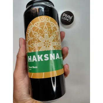 Pivo Haksna Sour Buzz 11°/11% 0,5l