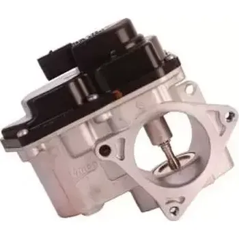 Ventil palivového systému QWP AGR ventil QWP WEG173