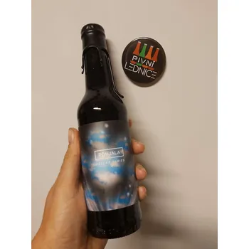 Pivo Pohjala Disko (Cellar Series) 12,5% 0,33l