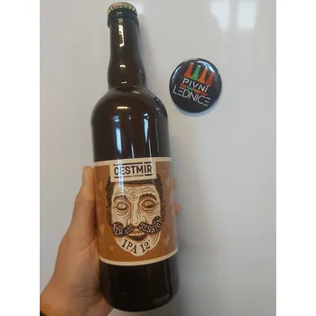 Pivo Čestmír New Age Session IPA 12°/4,9% 0,7l