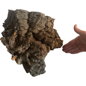 Dekorace do terária Korková kůra 3 - 35cm/22cm