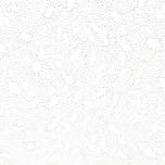 Knauf AMF Thermatex Star Board 600 x…