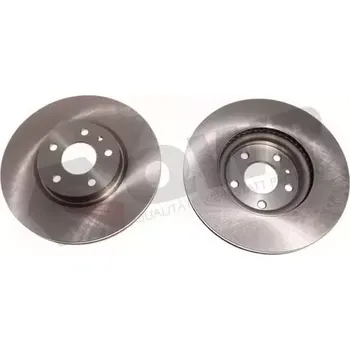 Brzdový kotouč QWP Brzdový kotouč - 300 mm QWP WBD1009