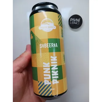 Pivo Čierny Kameň Punk Piknik 10°/4,2% 0,5l