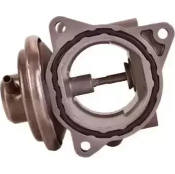 Ventil palivového systému QWP AGR ventil QWP WEG103