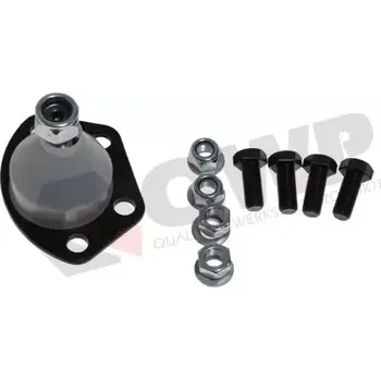 Zavěšení kol QWP Čep ramene QWP WSS173K