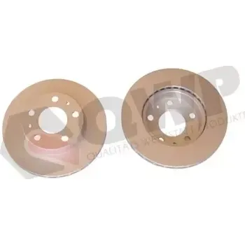 Brzdový kotouč QWP Brzdový kotouč - 300 mm QWP WBD109C