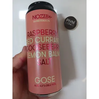 Pivo Nozib GOSETERIA #5 Raspberry + Red Currant + Gooseberry + Lemon Balm + Salt 10°/4,5% 0,5l